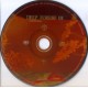 Cd Deep Forest 3, Comparsa Cd Deep Forest 3, Comparsa
