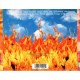 Cd The Nixons, Foma, Importado USA, 1995 Cd The Nixons, Foma, Importado USA, 1995