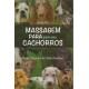 Guia de Massagem para Quem Ama Cachorros, Jody Chiquoine, Linda Jackson Guia de Massagem para Quem Ama Cachorros, Jody Chiquoine, Linda Jackson