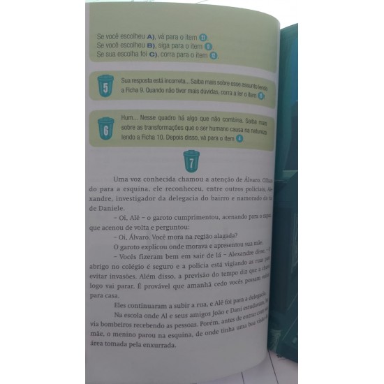 Em Algum Lugar do Lixão, Rosana Rios, Série Perigo à Vista