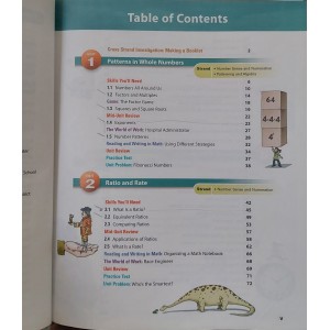 Math Makes Sense 7, Addison Wesley