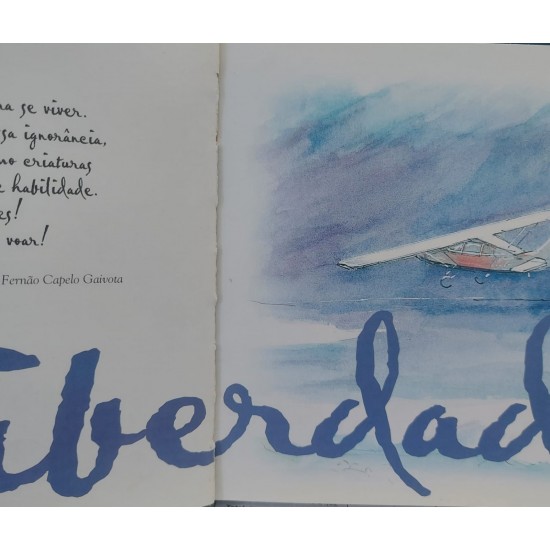 Mensagens Para Sempre, Richard Bach, Capa Dura com Sobrecapa Mensagens Para Sempre, Richard Bach, Capa Dura com Sobrecapa