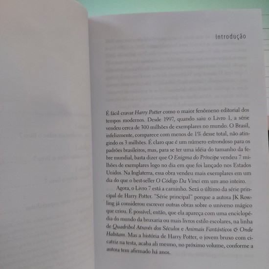 O Destino de Harry Potter, Ivan Finotti, Juliana Calderari