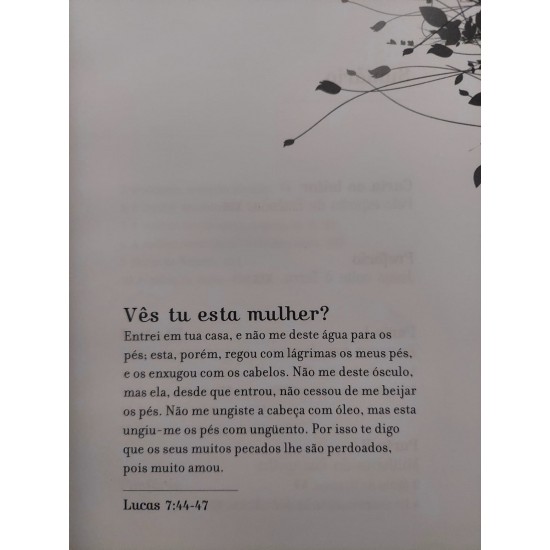 Mulheres do Evangelho e Outros Personagens Transformados Pelo Encontro com Jesus, Robson Pinheiro, Pelo Espírito Estevão Mulheres do Evangelho e Outros Personagens Transformados Pelo Encontro com Jesus, Robson Pinheiro, Pelo Espírito Estevão