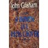 O Homem que Fazia Chover, John Grisham