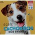O Que os Cachorros Nos Ensinam, Roberta Faria