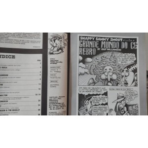 Porrada, Uma Revista Muito Louca, Ano 1, Numero 2