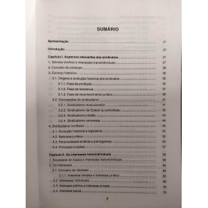 Sindicatos e Ações Coletivas. Acesso à Justiça, Jurisdição Coletiva e Tutela, Ronaldo Lima dos Santos