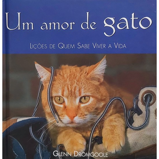 Um Amor de Gato, Lições de Quem Sabe Viver a Vida, Glenn Dromgoole Um Amor de Gato, Lições de Quem Sabe Viver a Vida, Glenn Dromgoole