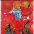 Cd Brian Wilson, That Lucky Old Sun